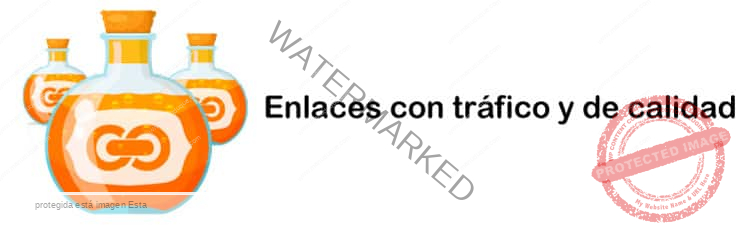 conexoo-y-raiola-surfean-la-ola-enlaces-trafico-calidad