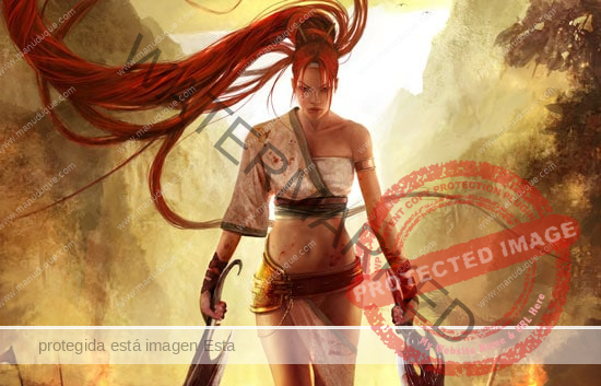 Nariko-(Heavenly-Sword)