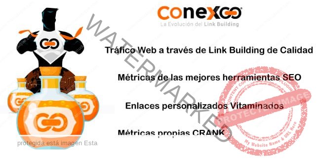 conexoo-linkbuilding