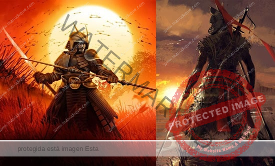 guerrero-samurai