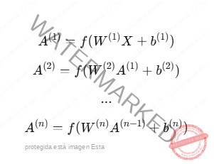 Propagación hacia adelante en redes profundas
